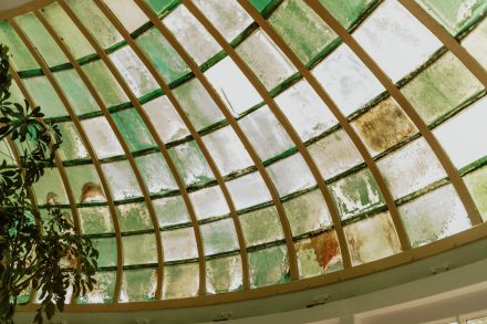 Bruiloft van Karlijn en Hylke bij Landgoed Winfried in Wapenveld – Kampen, romantische trouwfoto's, idyllische locatie, foto: wilco de haan fotografie, trouwfotograaf, winschoten, groningen, nederland